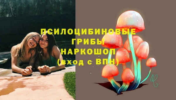 индика Снежинск