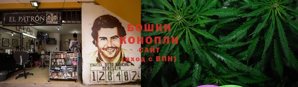 индика Снежинск