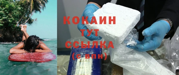 гашик Слюдянка