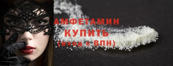 индика Снежинск