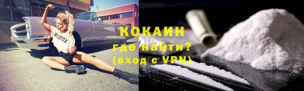 индика Снежинск