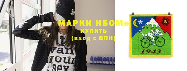 индика Снежинск