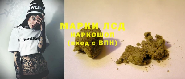 индика Снежинск