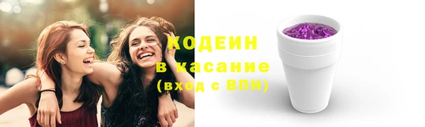 индика Снежинск
