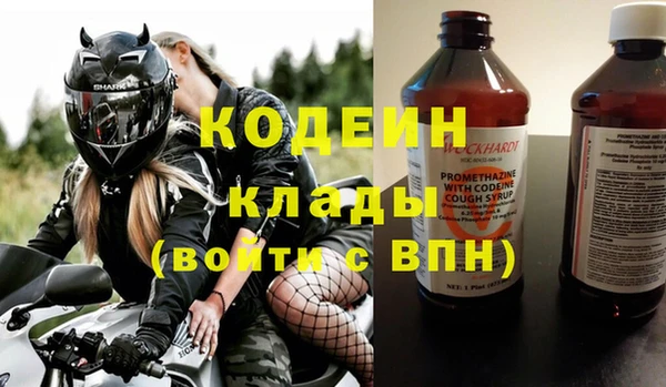 индика Рыльск