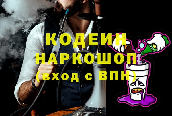 индика Снежинск