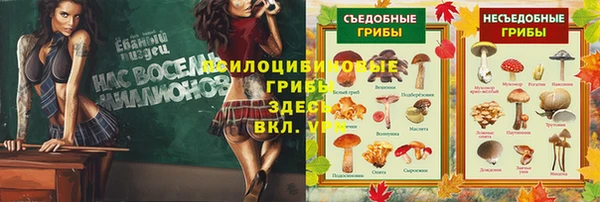 меф Снежногорск