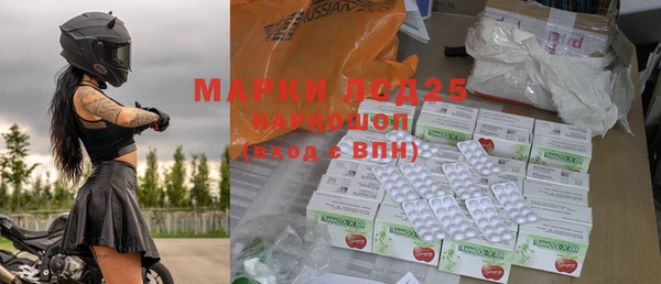 индика Снежинск