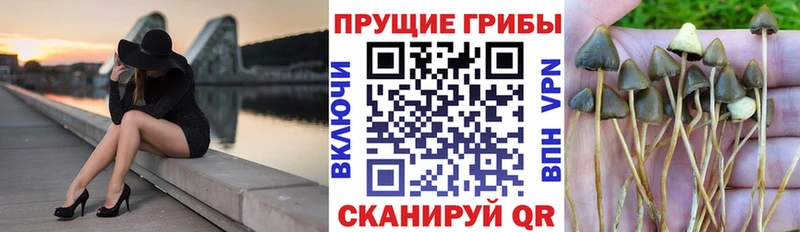 Псилоцибиновые грибы ЛСД купить наркотик площадка формула Фатеж